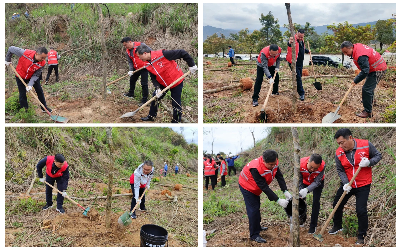 首页- k8凯发集团中国官方网站