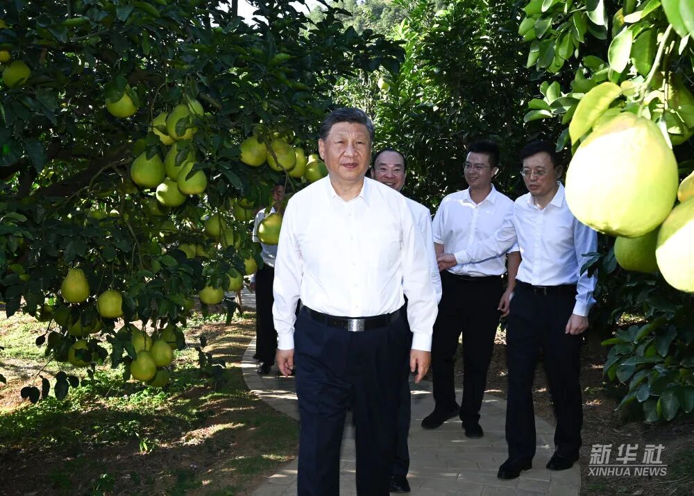 首页- k8凯发集团中国官方网站